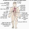הסיכונים האפשריים בהשמנת יתר