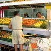 צמחונות ומתבגרים