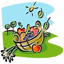 חידון הויטמינים